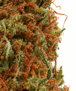 Wedding Cake THC-Blüte