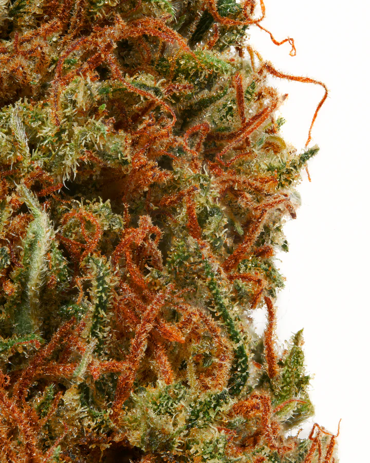 Wedding Cake THC-Blüte