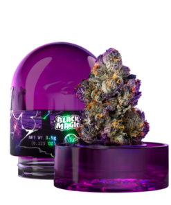 Wizard Trees: Black Magic
