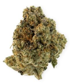 ANIMAL FACE Weed